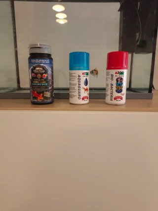 Acuario  18L, filtro, adorno, alimento y cuidados
