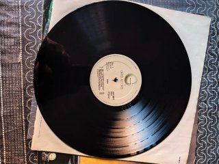 Vinilo Asia - Pop Rock Internacional