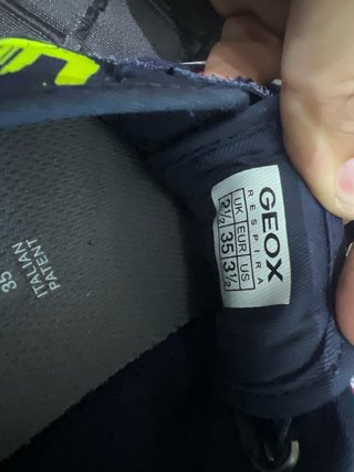 Deportivo Geox azul con detalles fucsia y verde