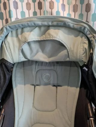 Conjunto bugaboo Verde grisáceo Fox y camaleon