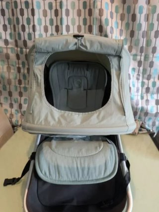 Conjunto bugaboo Verde grisáceo Fox y camaleon