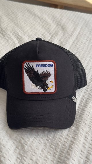 Lote de 7 Gorras