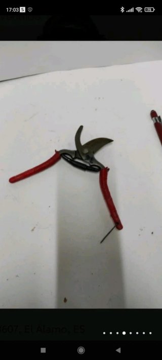 2 tijeras de podar