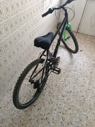 Bicicleta Infantil JL-Wenti 24