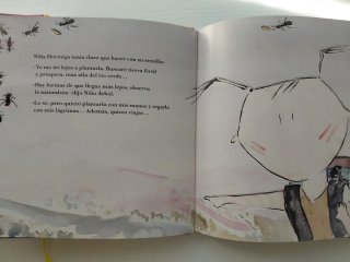 Lote 2 libros infantiles