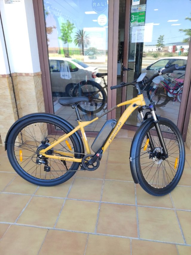 Bicicleta Eléctrica Motorad T-Rex