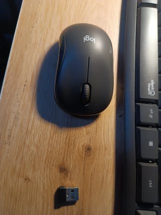 Teclado y Ratón Logitech Silencio Negro/Gris
