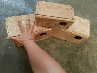 Jaula para pájaros