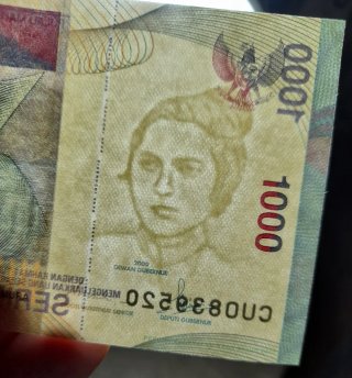 🇮🇩 Lote Billetes Indonesia