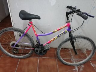 Bicicleta Dakota Team GOO4
