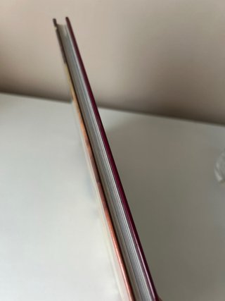 Libro La luz en la pintura