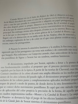 Libro La luz en la pintura