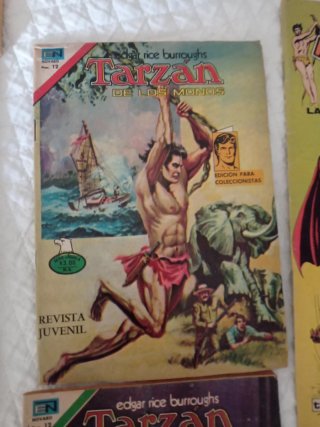 Lote 7 comics antiguos Tarzan, Editorial Novaro,