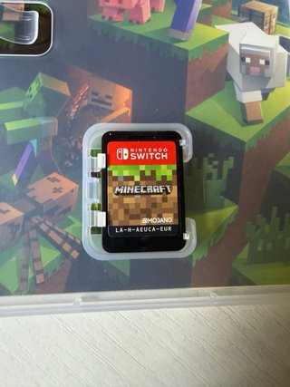 Minecraft Nintendo Switch