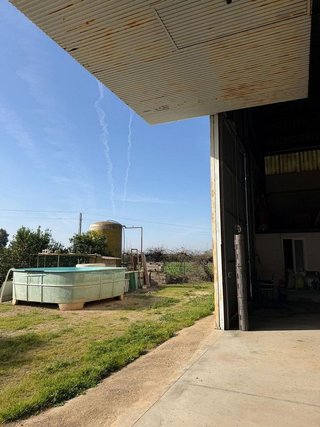 Nave industrial en venta en Cantillana