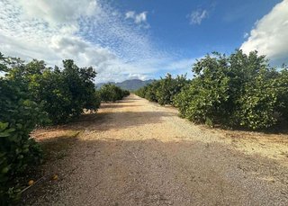 Terreno en venta en Ondara