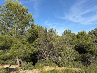 Terreno en venta en Monserrat