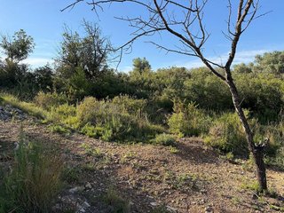 Terreno en venta en Monserrat