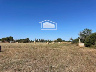 Solar en venta en Campos