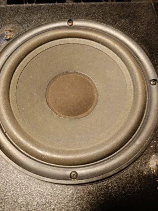 Pareja Altavoces Bose 301 Serie IV