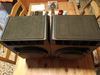 Pareja Altavoces Bose 301 Serie IV