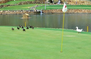 Solar en venta en Mijas Golf en Mijas