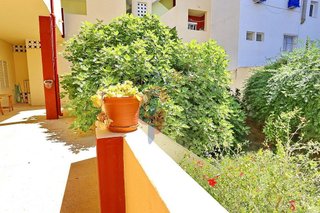 Local comercial en venta en Zona Pueblo en Guardamar del Segura