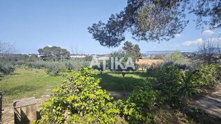 Chalet en venta en Ontinyent