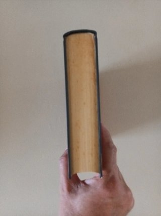 Septimus y el fuego eterno