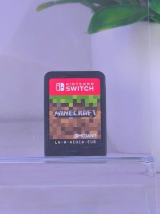 Minecraft Nintendo Switch