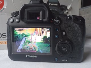 Canon EOS 6D Fotocamera Digitale 20.2 Mpx