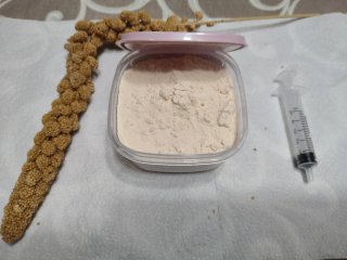 Kit para agapornis: