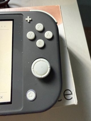 Nintendo Switch Lite Gris