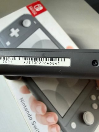 Nintendo Switch Lite Gris