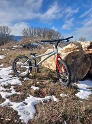 Bicicleta Trial
