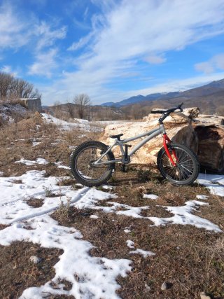 Bicicleta Trial