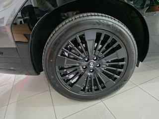 Hyundai Santa Fe HEV 1.6T 215CV 4X4 AT Calligraphy Ll.Dig