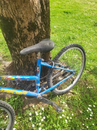 Bicicleta azul para 10 años