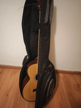 Bajo Electroacústico Academy Nuevo
