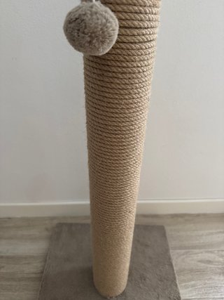 Tiragraffi per gatti con pallina