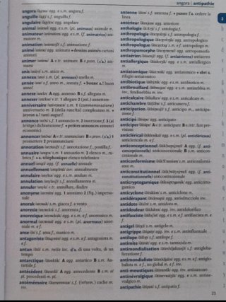 dizionario francese