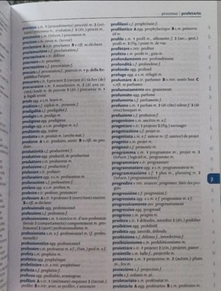 dizionario francese