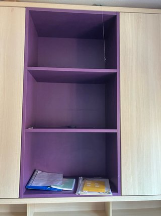Cama abatible con armario y escritorio