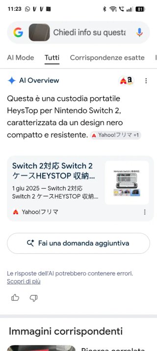 Custodia Portatile HeysTop Switch 2