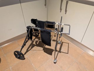 Carrito para perro - Plataforma Movilidad