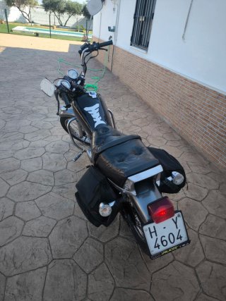Yamaha Cruiser Negra/Gris Manual