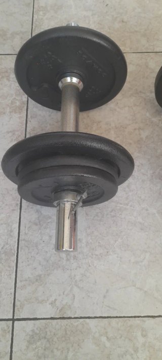 Par Mancuernas 20kg Total