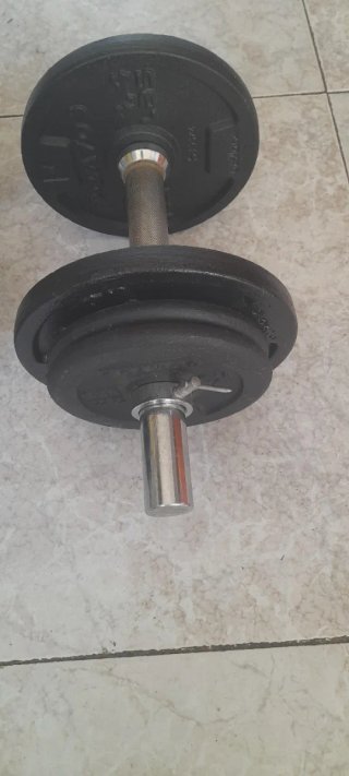 Par Mancuernas 20kg Total