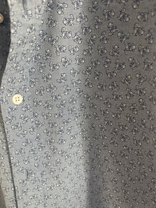 Camisa Massimo Dutti Estampada