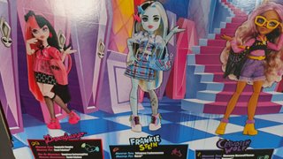 Boneca Frankie Monster High